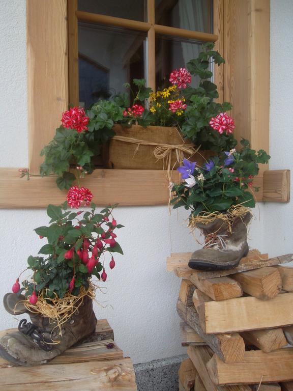 Agriturismo Maso Grisun Borzago Exterior foto
