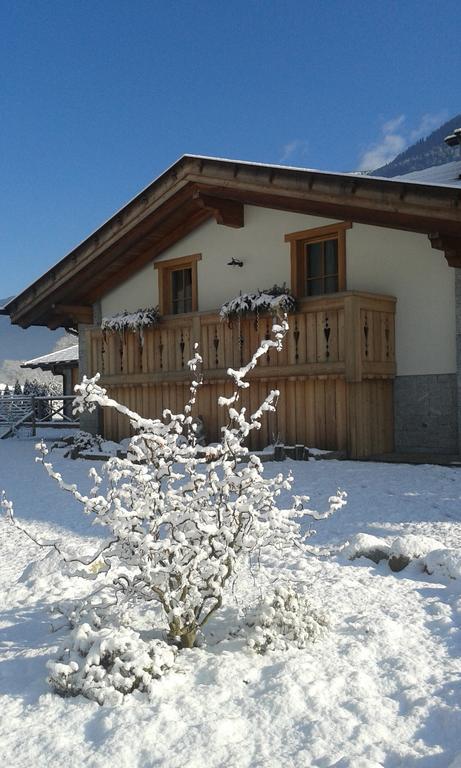 Agriturismo Maso Grisun Borzago Exterior foto