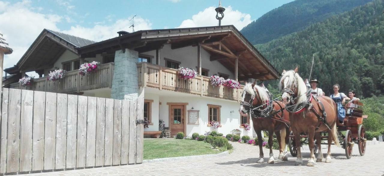 Agriturismo Maso Grisun Borzago Exterior foto